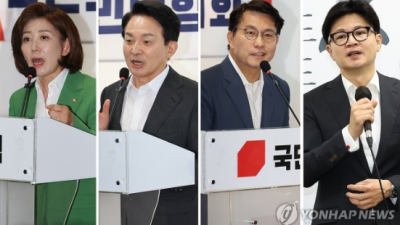 [연합뉴스] 與전대 투표율 기록 경신할까…당권주자들 지지층 결집 총력전(종합)