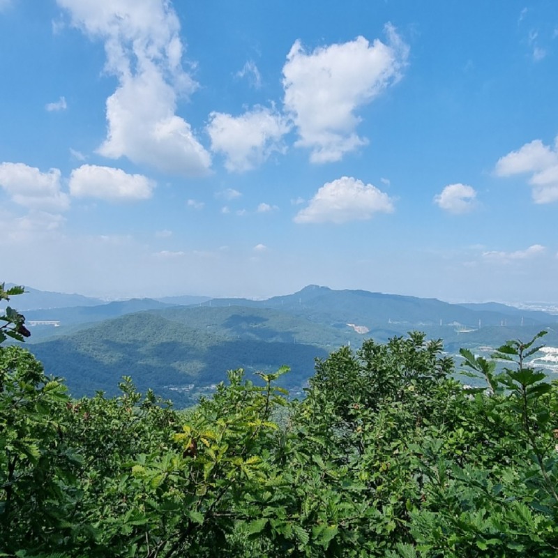 산에 오니 좋네요 ~.jpg