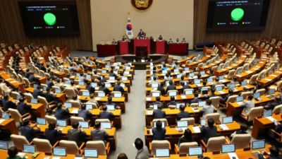 [서울신문] 오세훈 “25만원 뿌릴 돈으로 티메프 소상공인 지원하자”