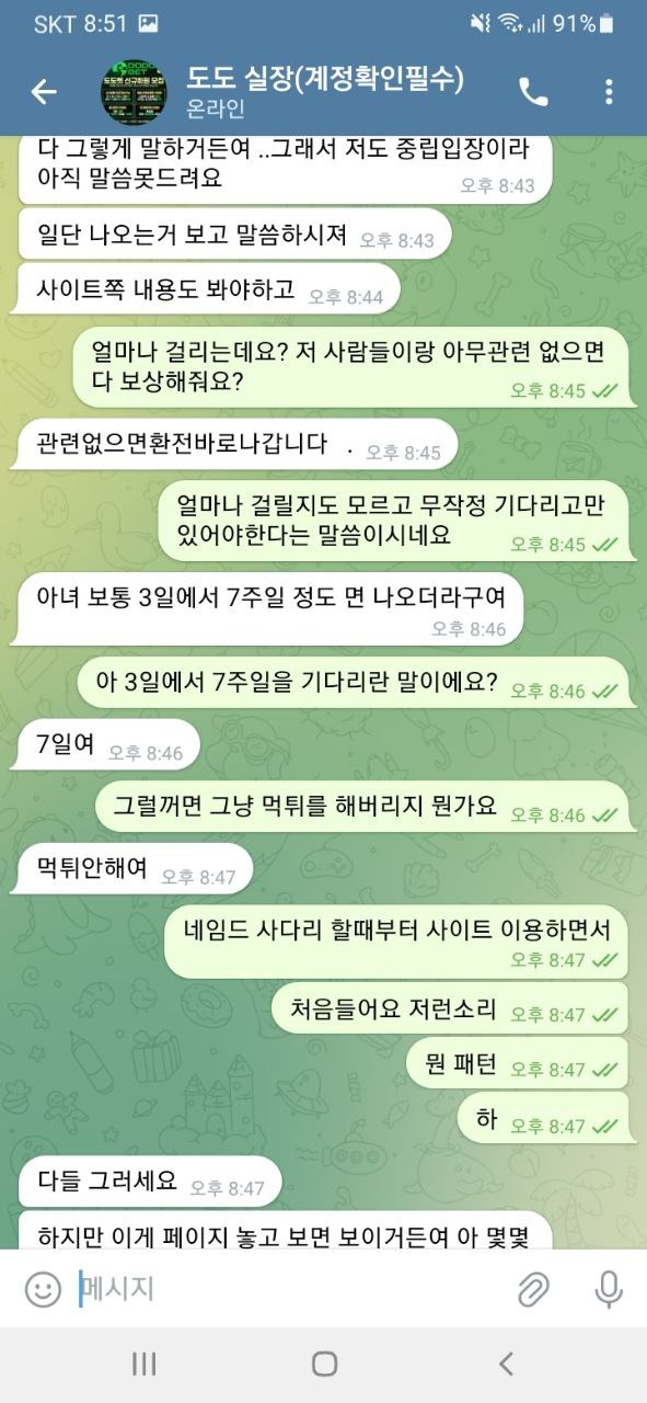 도도2.jpg