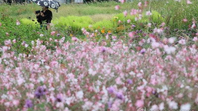 [연합뉴스]태풍 끄라톤 대만 지나며 약화할 듯…2∼4일 남동쪽 중심 비