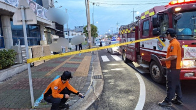 [서울경제]제주 놀러 왔다가 진짜 '날벼락'…머리 위 전선 떨어져 '감전'된 관광객