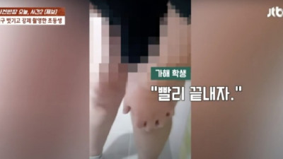 [머니투데이]속옷 벗기고 손 묶고 빨리 끝내자…초등생이 벌인 끔찍한 짓