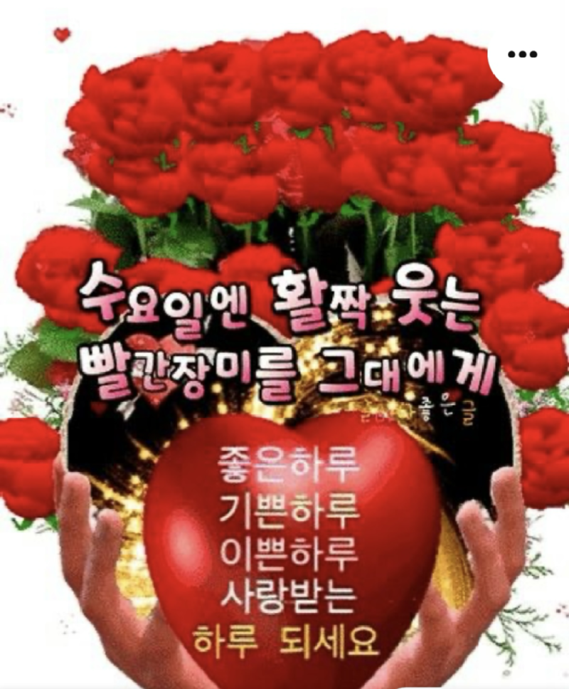 수요팅!_ 다들 으쌰쌰 건승하시길 !.png