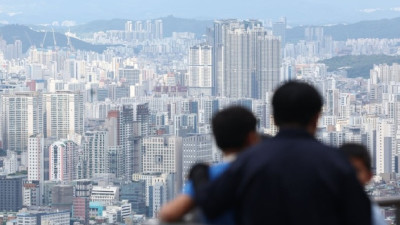 [한국경제]여보, 우리 이혼하자 갈라섰다더니…다둥이 엄마 딱 걸렸다