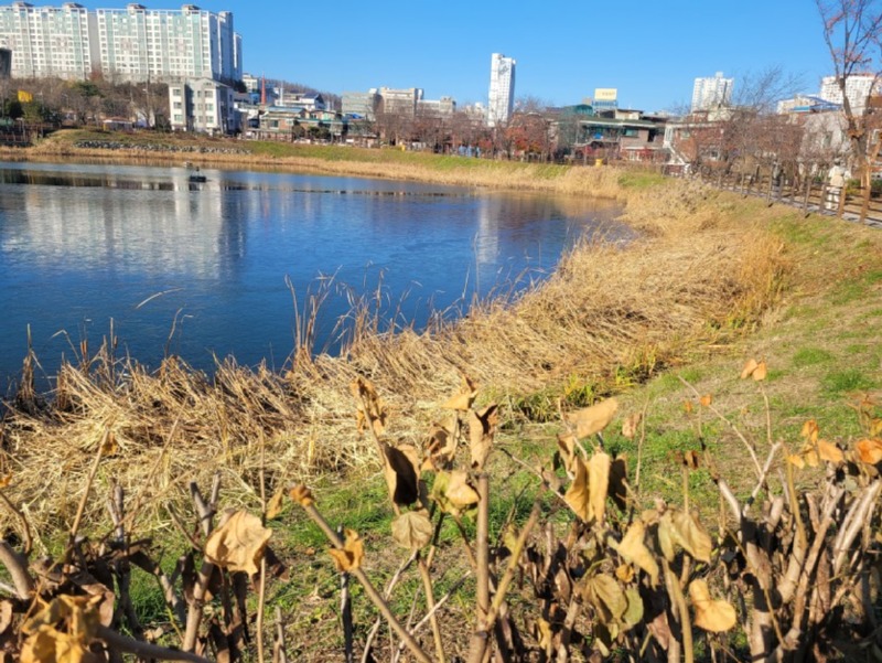 산책바리공원~~~- 움직이니까 땀도나는거같고좋네요 ㅎ 상쾌합니다.jpg