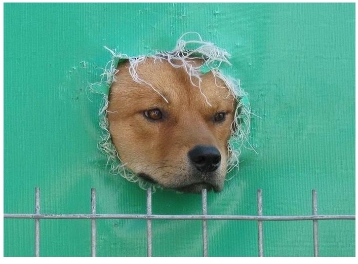 크리스마스 이브까지 3일남았네요 - 별감흥이 없네요ㅋ 나이를 저도 먹어가나봅니다 ㅜㅜ형님들은 계획있으신가요.jpg