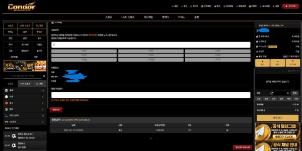 콘도르2-3.jpg