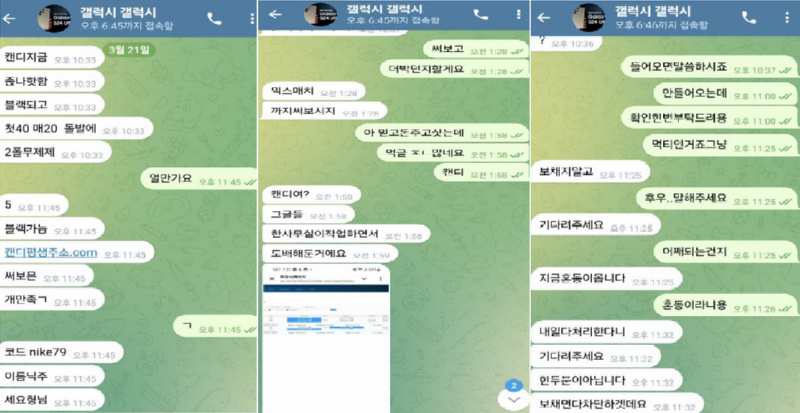 캔디벳2.png