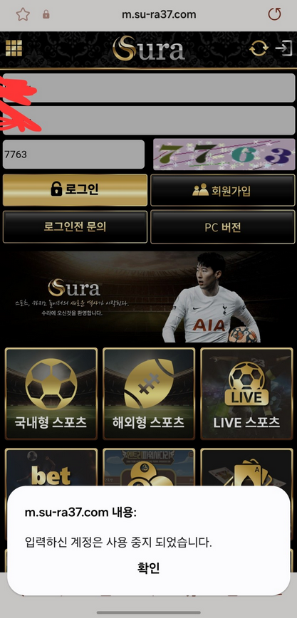 수라2.png