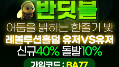 보증업체 [반딧불]